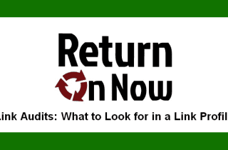 What to Look For in Link Profile and Link Audit Exercises