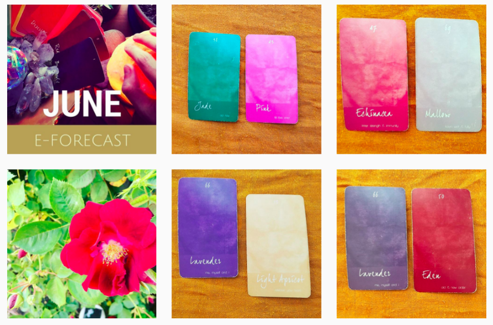 The Color Mage's Stylized Feed on Instagram