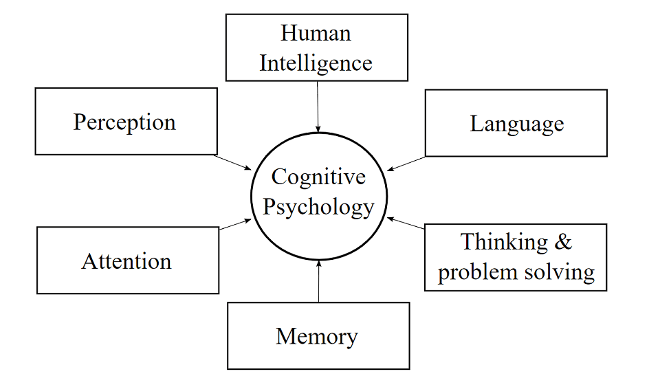 Assignment On Cognitive Psychology